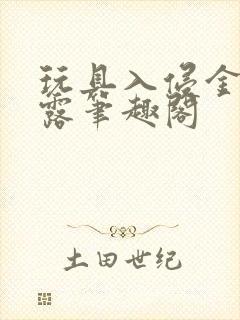 玩具入侵金银花露笔趣阁