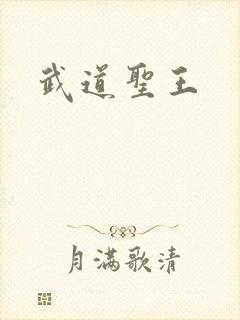 武道圣王
