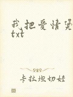 我把爱情煲成汤txt