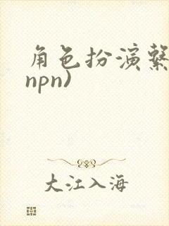 角色扮演系统(npn)