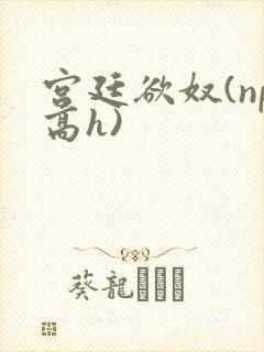 宫廷欲奴(np高h)