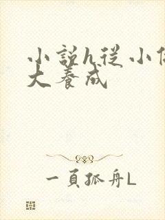 小说h从小做到大养成