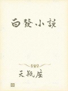 白发小说