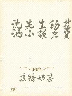 沈先生的花式调酒小说免费阅读