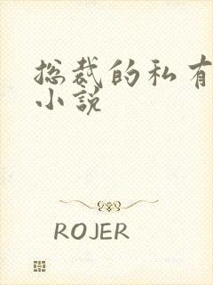 总裁的私有宝贝小说