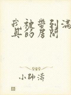 我被带到满是玩具的房间