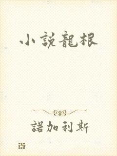 小说龙根