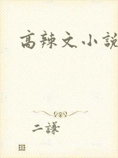 高辣文小说