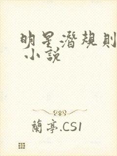 明星潜规则之皇 小说