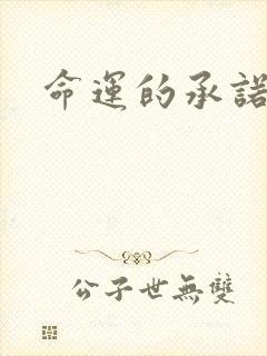 命运的承诺