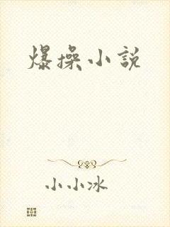 爆操小说