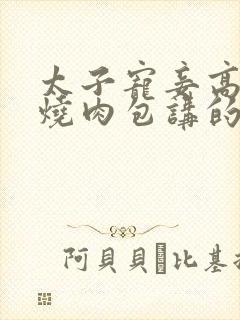 太子宠妾高肉红烧肉包讲的什么