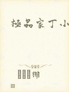 极品家丁小说