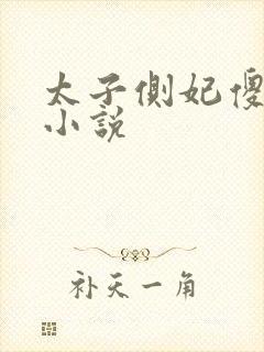 太子侧妃傻乎乎小说