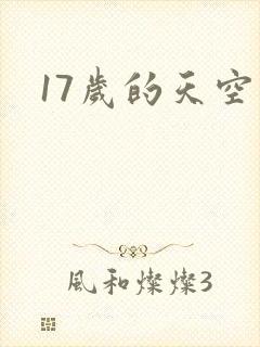 17岁的天空