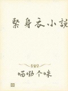 紧身衣小说