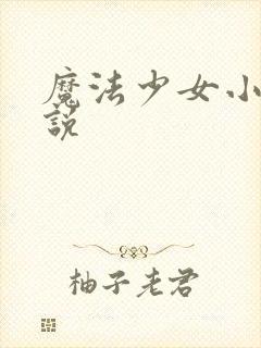 魔法少女小圆小说