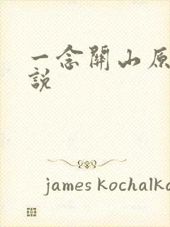 一念关山原著小说