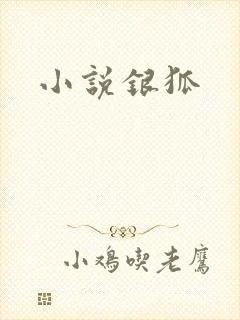 小说银狐