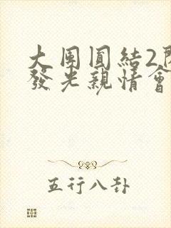 大团圆结2闪闪发光亲情会