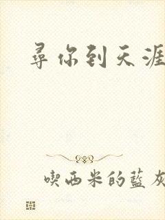 寻你到天涯