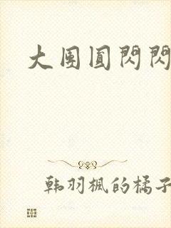 大团圆闪闪发光