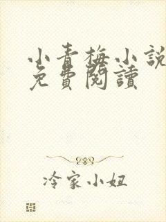 小青梅小说全文免费阅读