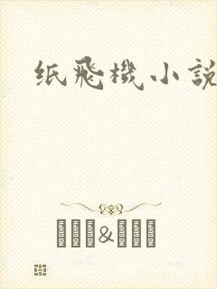 纸飞机小说