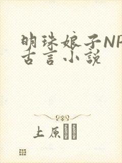 明珠娘子NPC古言小说