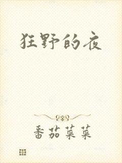 狂野的夜