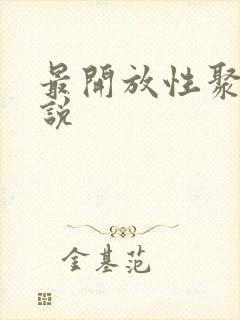 最开放性聚会小说