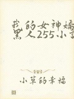 我的女神娇妻与黑人255小说