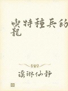 吃特种兵的大黑龙