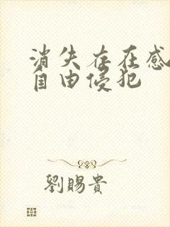 消失存在感消失自由侵犯