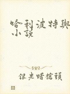 哈利波特与密室小说