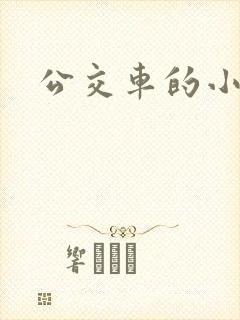 公交车的小说