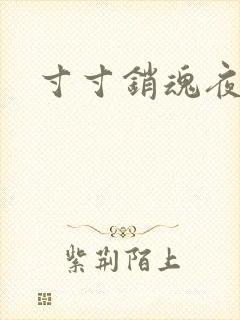 寸寸销魂夜春光