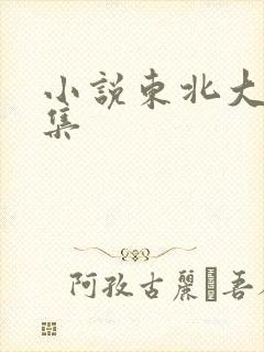 小说东北大炕全集