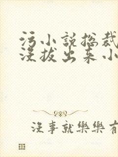 污小说总裁整夜没拔出来小说在线阅读