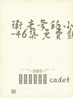 卫老爹的小船1-46集免费观看