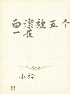 白洁被五个人玩一夜