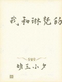 我和琳梵的故事