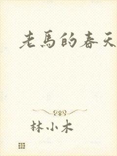 老马的春天敏静