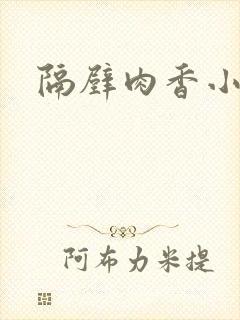 隔壁肉香小说