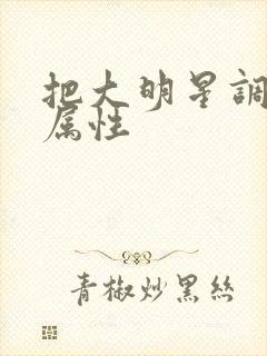 把大明星调成专属性