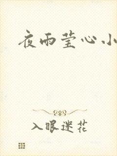 夜雨莹心小说