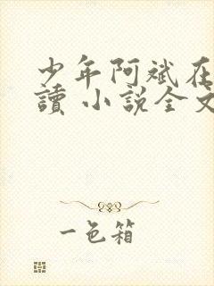 少年阿斌在线阅读 小说全文免费