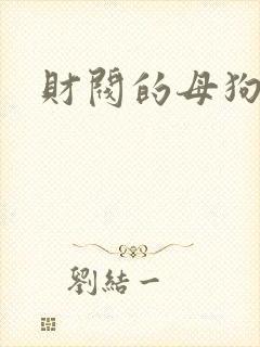 财阀的母狗们