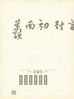 叶南初 封言小说