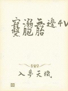 宠溺无边4V2双胞胎